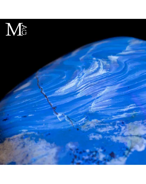 Ambra Blue - dalla colata arborea al fossile.