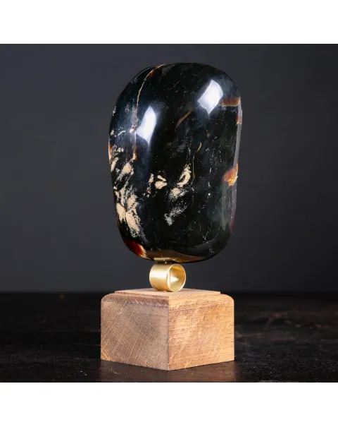 Ambra di Sumatra Un Fossile Organico da Collezione.