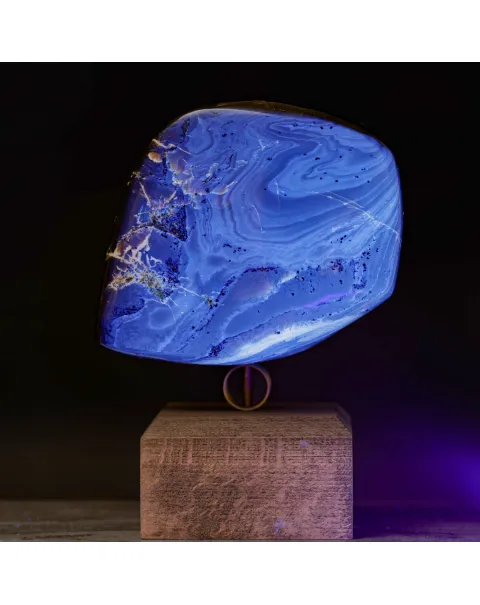 Ambra di Sumatra – Dal Miocene ai Cabinet de Curiosités.