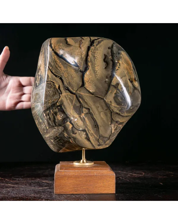 Ambra di Sumatra – Un grande corpo fossile tra r...