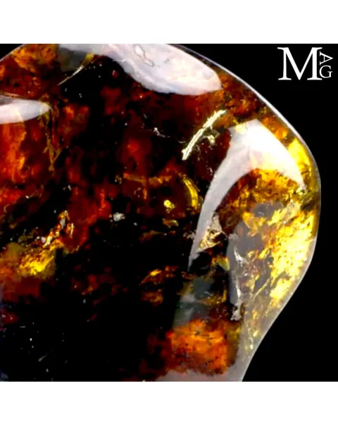 Ambra Fossile del Chiapas – Esemplare  dai colori Cangianti