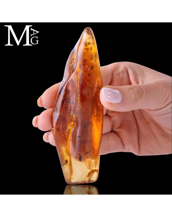 Copale fossile con inclusioni di insetti.