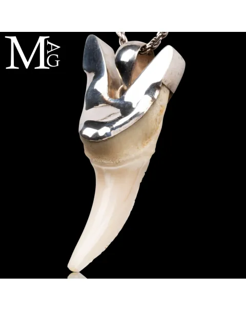 Ciondolo Dente di Squalo Mako in Argento 925