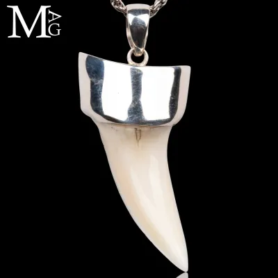 Ciondolo con Dente di Squalo Mako in Argento 925