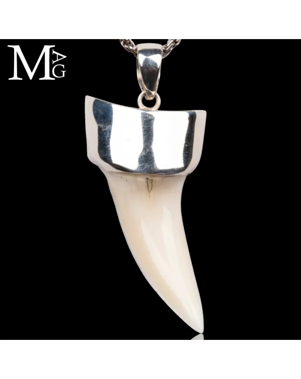 Ciondolo con Dente di Squalo Mako in Argento 925