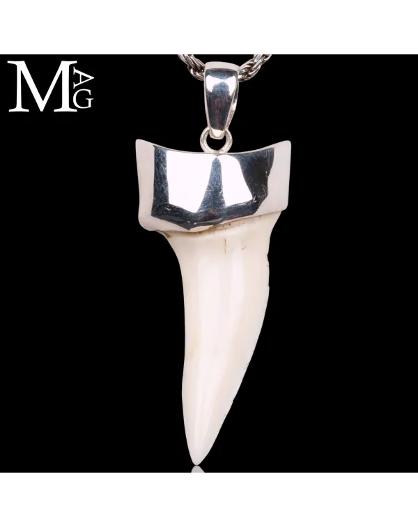 Ciondolo Dente di Squalo Mako con Argento 925.