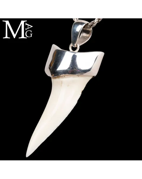 Ciondolo Dente di Squalo Mako con Argento 925.