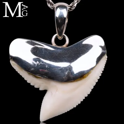 Ciondolo con Dente di Squalo Tigre in Argento 925