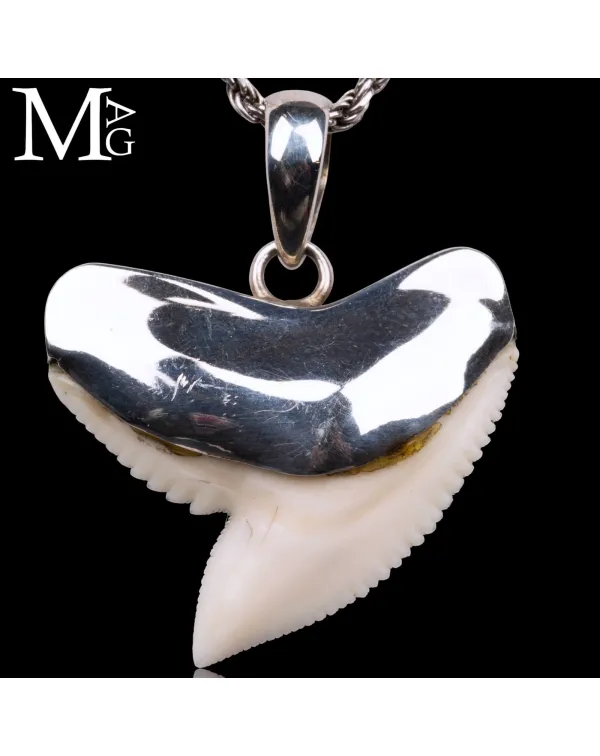 Ciondolo con Dente di Squalo Tigre in Argento 925