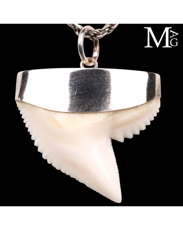Ciondolo con Dente di Squalo Tigre in Argento 925