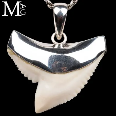 Ciondolo con Dente di Squalo Tigre in Argento 925.