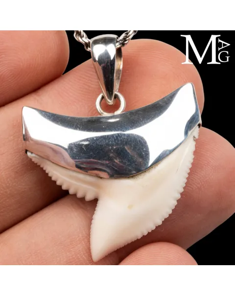 Ciondolo con Dente di Squalo Tigre in Argento 925.