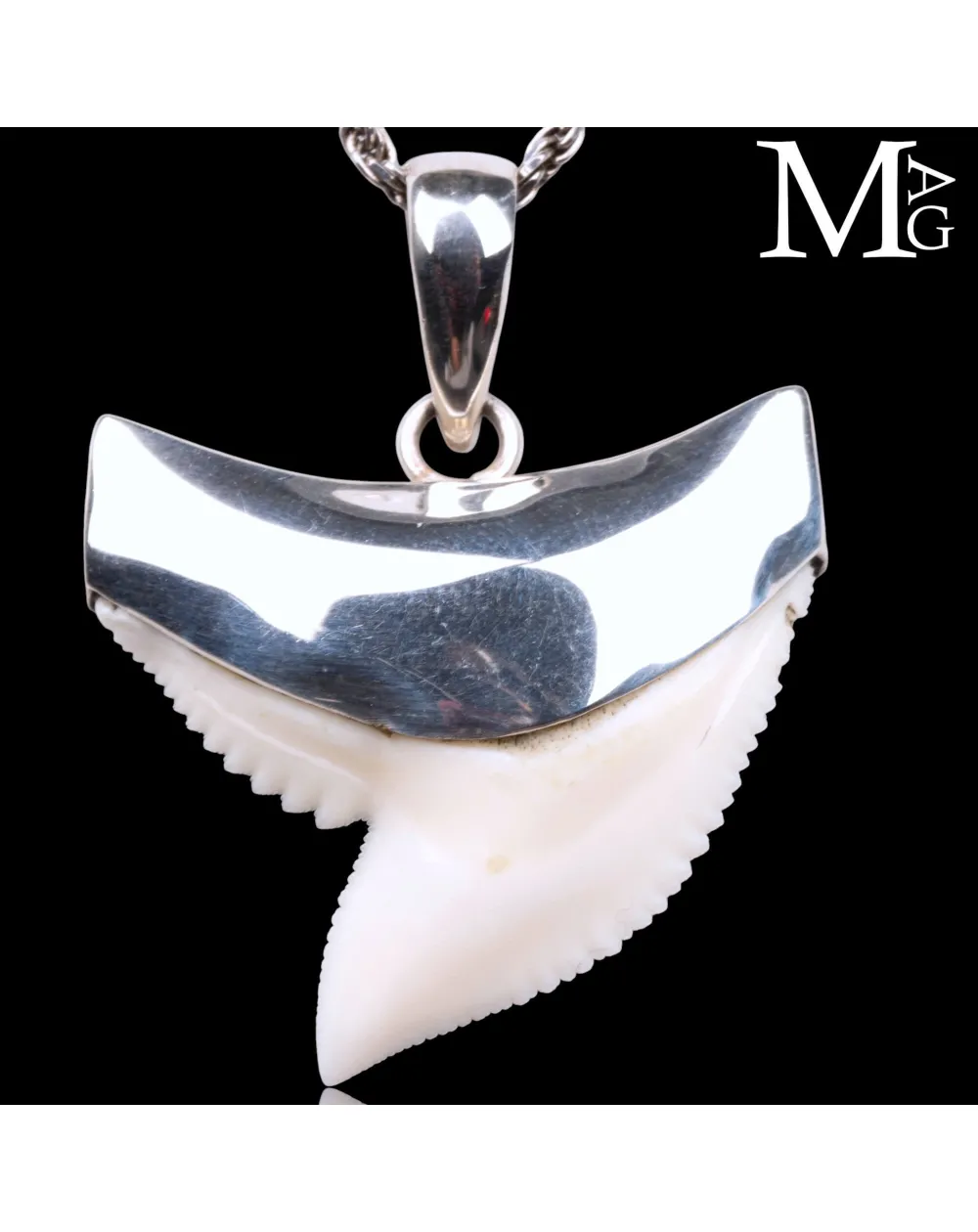 Ciondolo con Dente di Squalo Tigre in Argento 925.