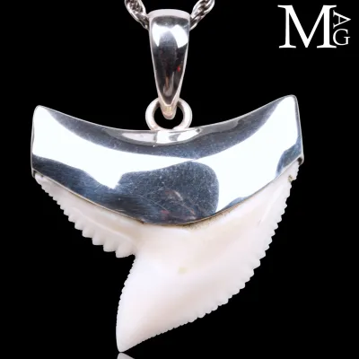 Ciondolo con Dente di Squalo Tigre in Argento 925.