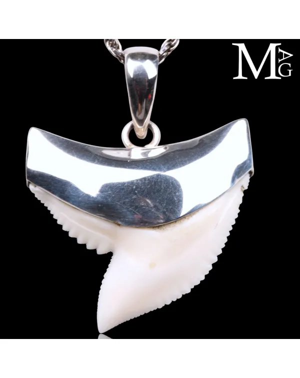 Ciondolo con Dente di Squalo Tigre in Argento 925.