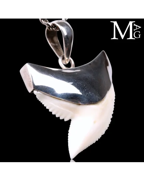Ciondolo con Dente di Squalo Tigre in Argento 925.