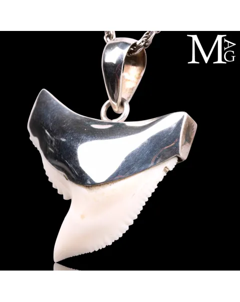Ciondolo con Dente di Squalo Tigre in Argento 925.
