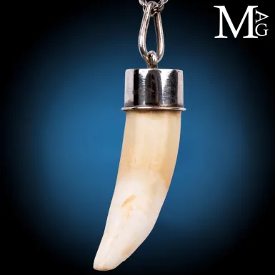 Pendente Talismano con Dente Naturale.