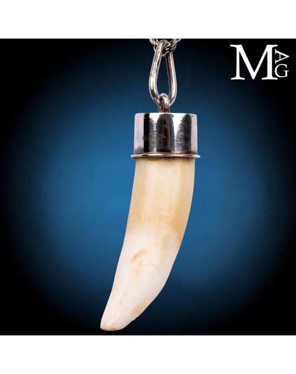 Pendente Talismano con Dente Naturale.