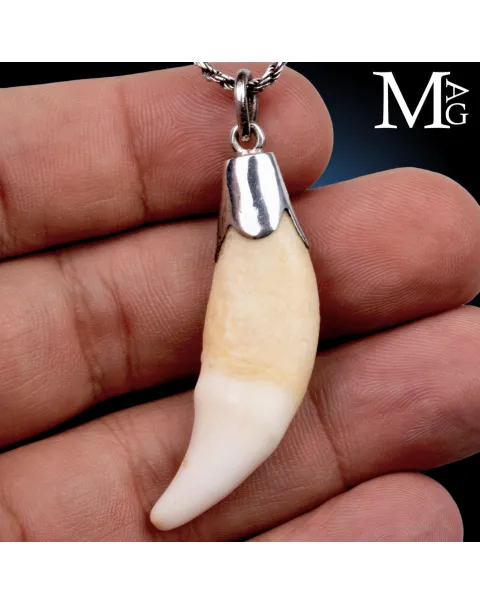 Pendente in Argento con Dente Naturale.