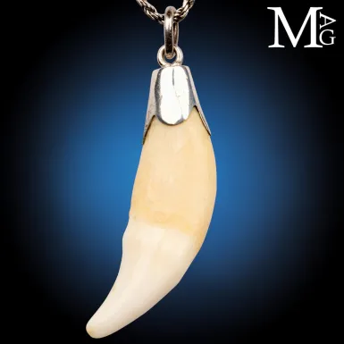 Pendente in Argento con Dente Naturale.