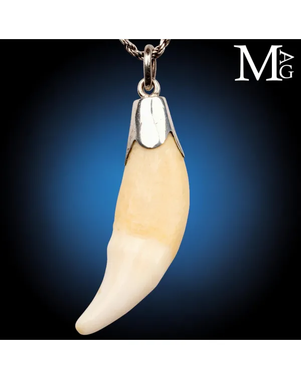 Pendente in Argento con Dente Naturale.