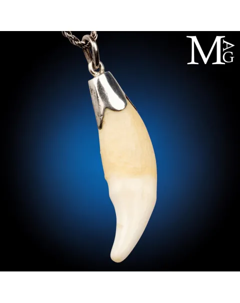 Pendente in Argento con Dente Naturale.
