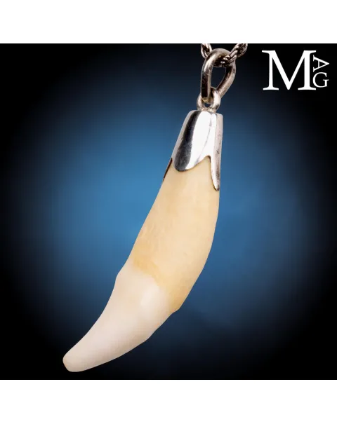 Pendente in Argento con Dente Naturale.