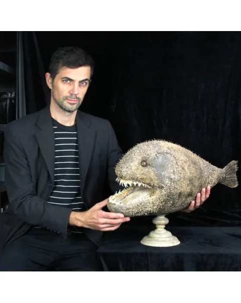 Chimera - Pesce degli abissi