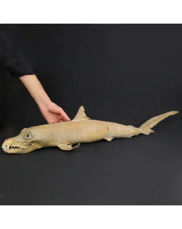 Chimera - SqualoCoyote