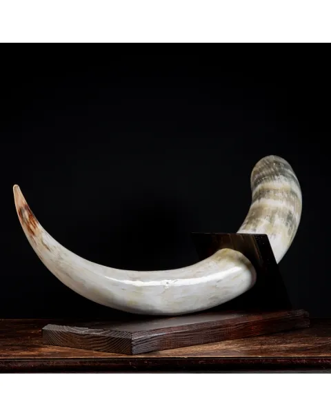 Corno di Bufalo su Piedistallo