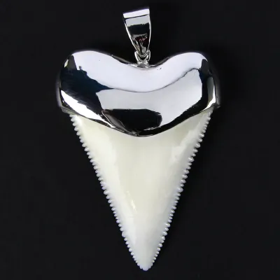 Pendente con Dente di Squalo Bianco