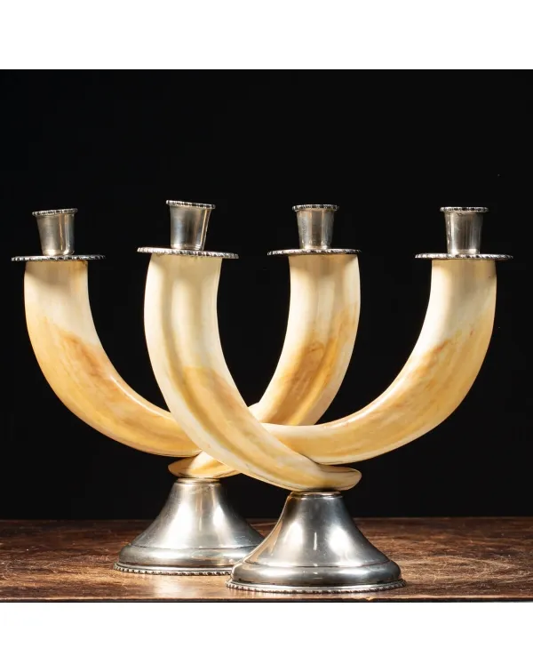 Candelabri Zanne Ippopotamo