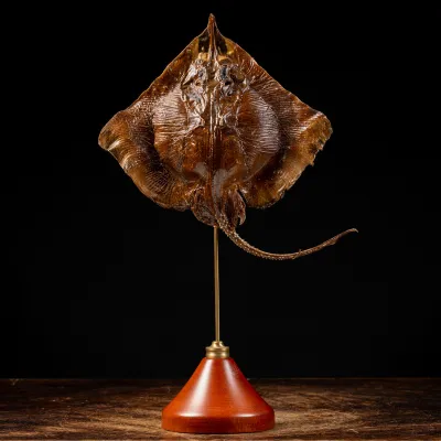 Razza "Stingray" - su Piedistallo