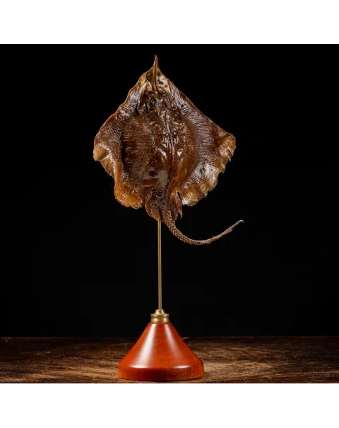 Razza "Stingray" - su Piedistallo