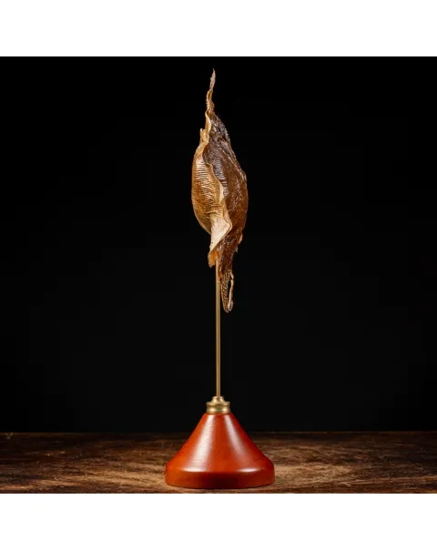 Razza "Stingray" - su Piedistallo