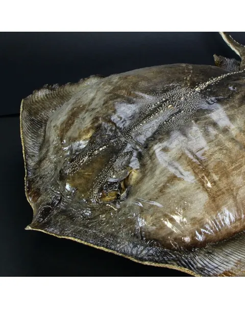 Razza "Stingray" - Myliobatoidei sp.
