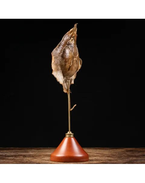 Razza "Stingray" - su Piedistallo