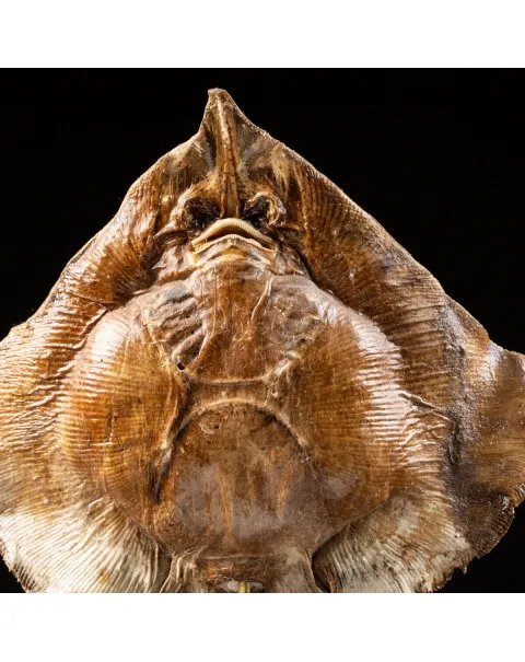 Razza "Stingray" - su Piedistallo