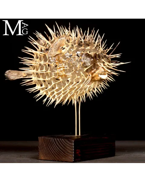 Pesce Palla su Base in Legno e Ottone.