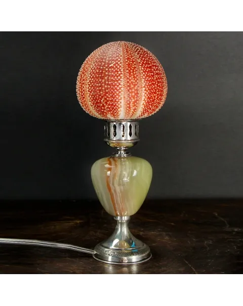 Lampada Riccio di Mare