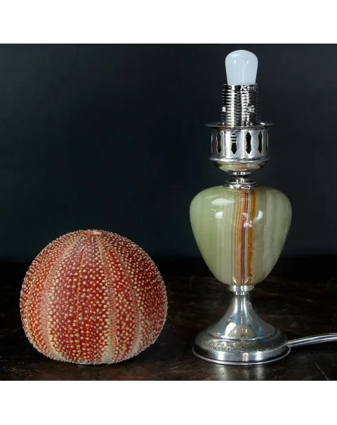 Lampada Riccio di Mare