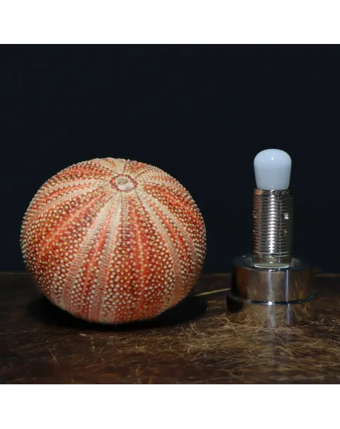 Lampada Riccio di Mare