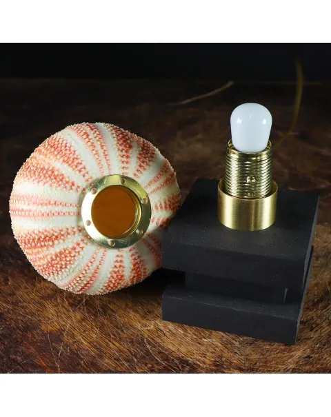 Lampada Riccio di Mare