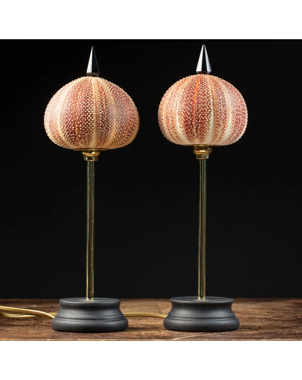 Coppia Lampada Riccio di Mare