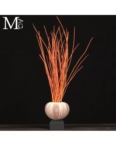 Decorazione Marina – Riccio e Gorgonia