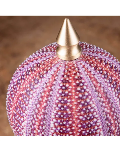 Un riccio di mare dai toni rosa e viola posto su elegante base in ottone tornito.