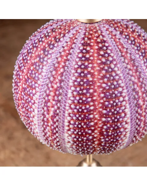 Un riccio di mare dai toni rosa e viola posto su elegante base in ottone tornito.