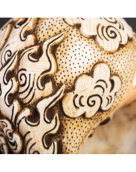Conchiglia Tibetana intagliata - Shankha.