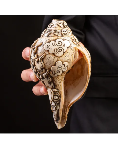 Conchiglia Tibetana intagliata - Shankha.